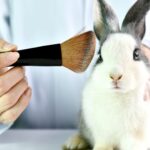 a bunny getting cosmetics applied to his face