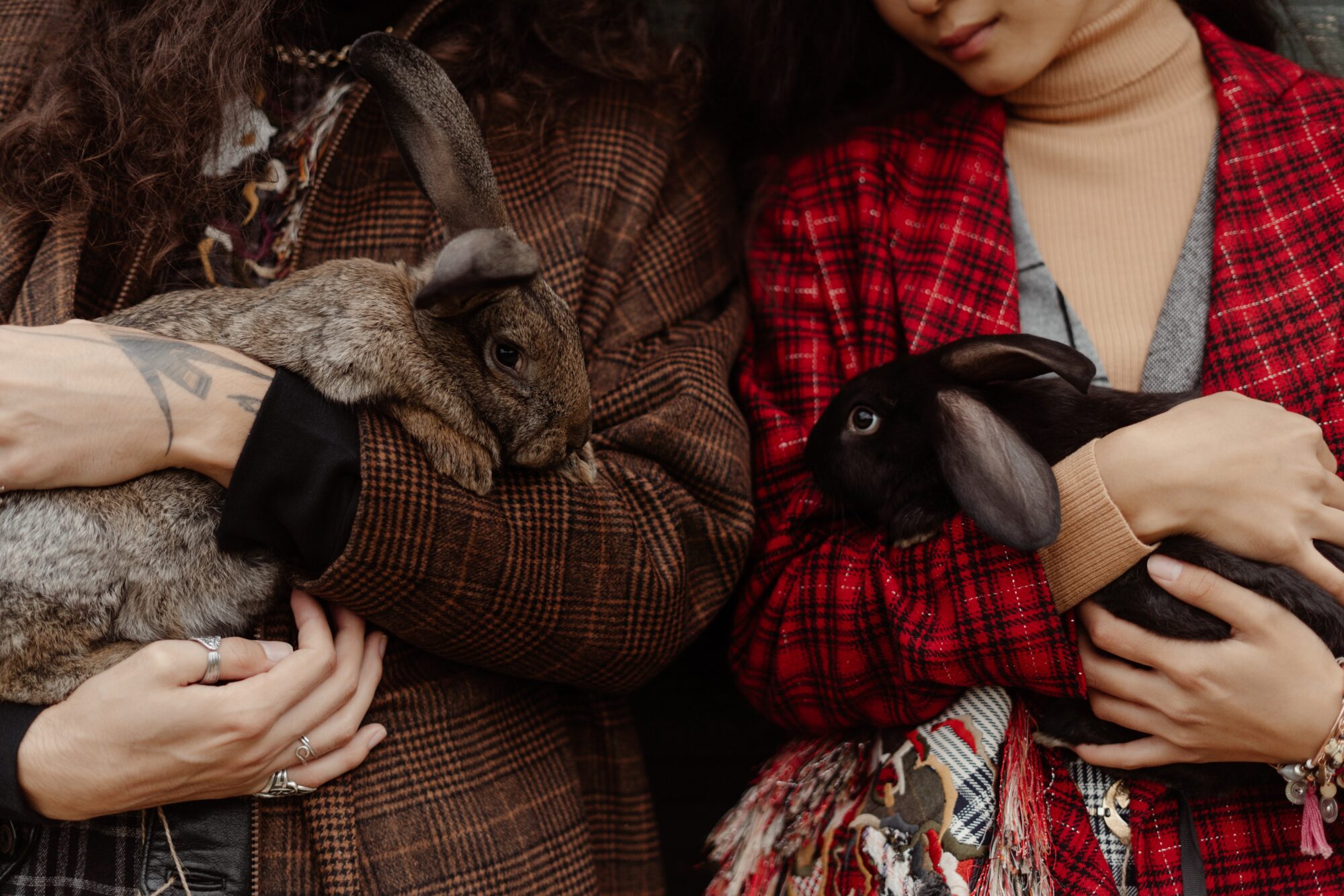 couple holding rabbits